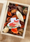 Sleeping Fox Magnetic Bookmark
